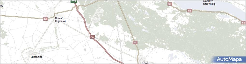 Warząchewka Królewska